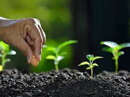 Planting Our Church… Again