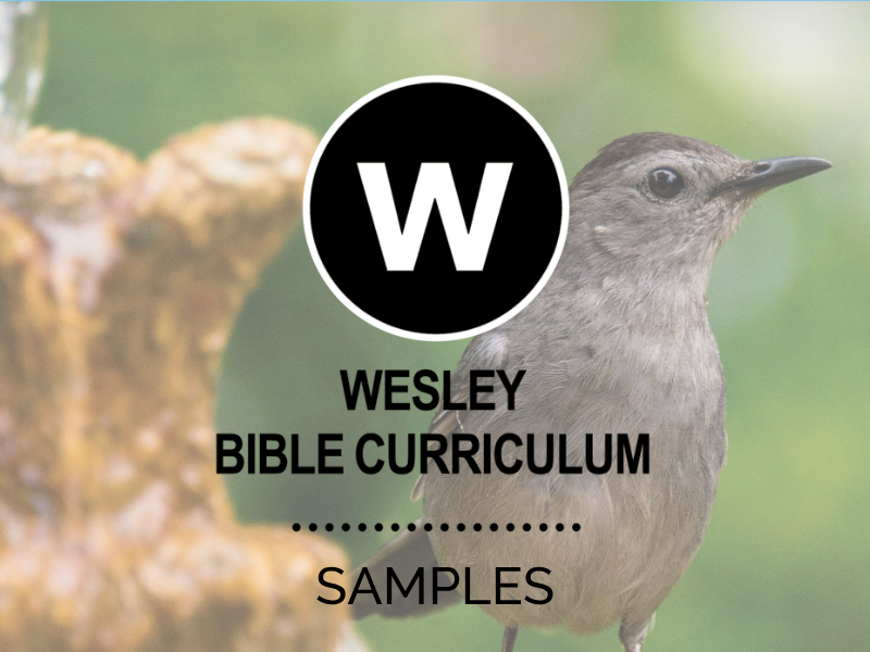 Wesley Bible Curriculum Samples
